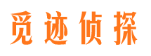 平顶山市调查公司